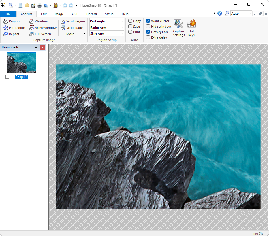 HyperSnap 10 screenshot